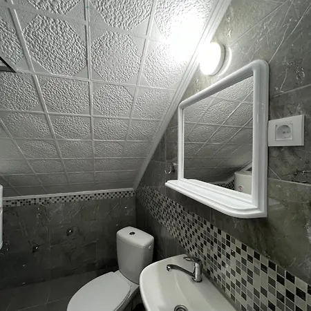 Apartment Cosic - Kursumlijska Banja